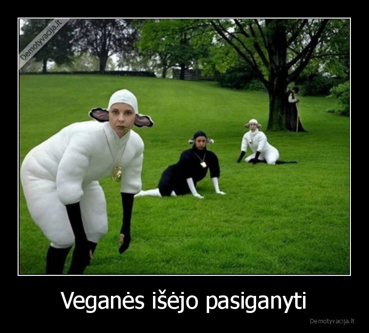 veganes,veganai,aveles