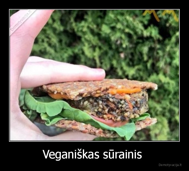 veganiskas,surainis,mesainis