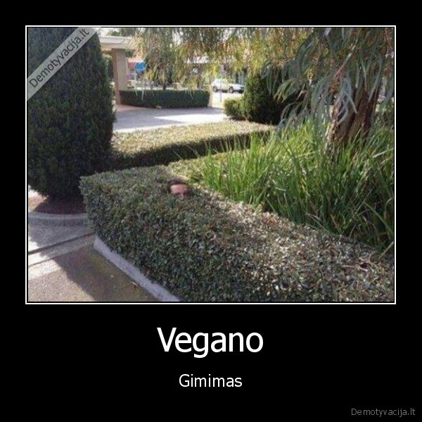 veganas,krumas