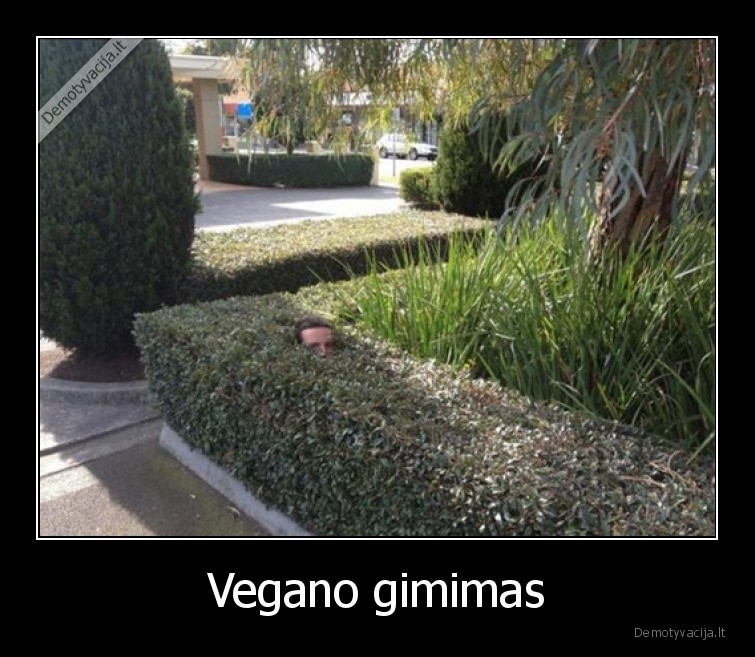 veganas,gimsta,krumai