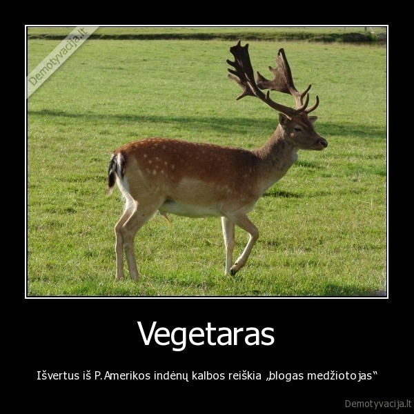 vegetarai,medziokle,indenai
