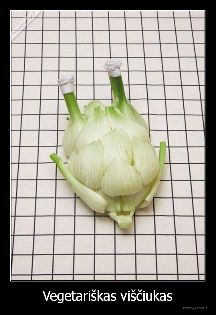 visciukas,vegetarai,vegetarams
