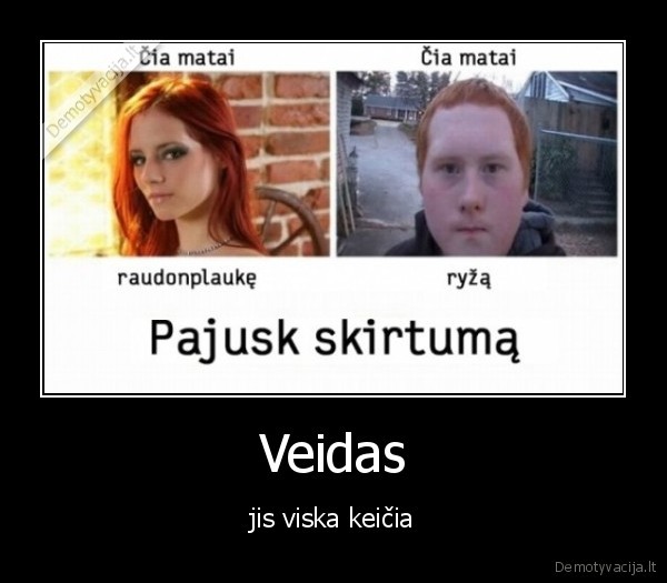 Veidas