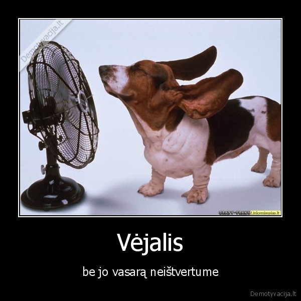 Vėjalis