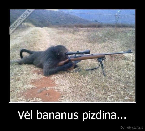 Vėl bananus pizdina...
