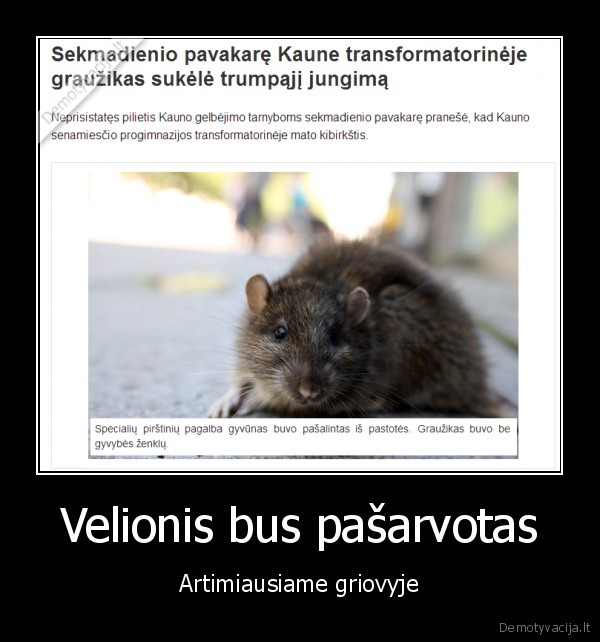 zuvo, grauzikas,juokinga, antraste