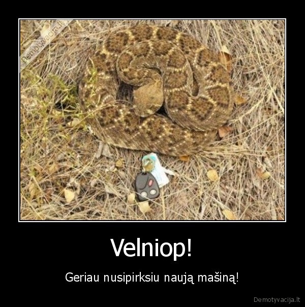 gyvate,rakteliai