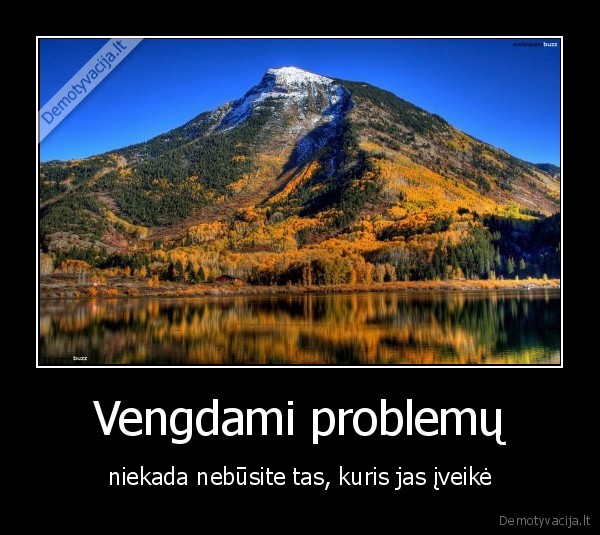 Vengdami problemų