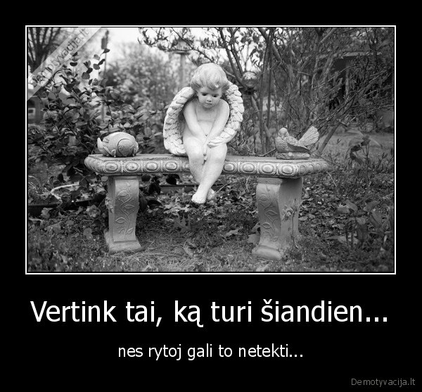 Vertink tai, ką turi šiandien...