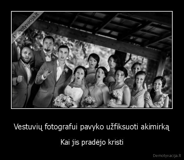parkrito, fotografas,vestuvine, nuotrauka