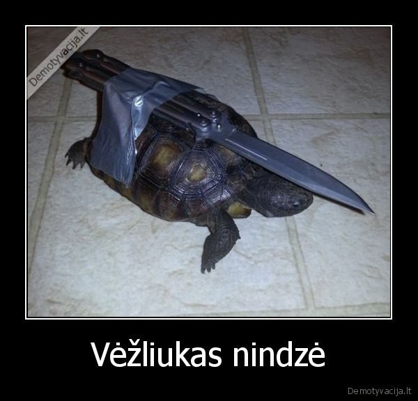 vezliukas,nindze