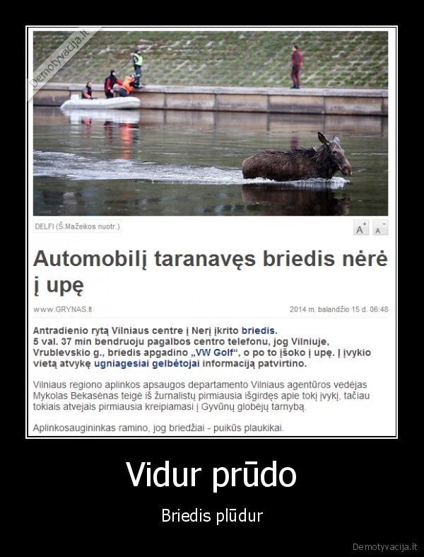 briedis, neryje,neris,briedis, vilniuje