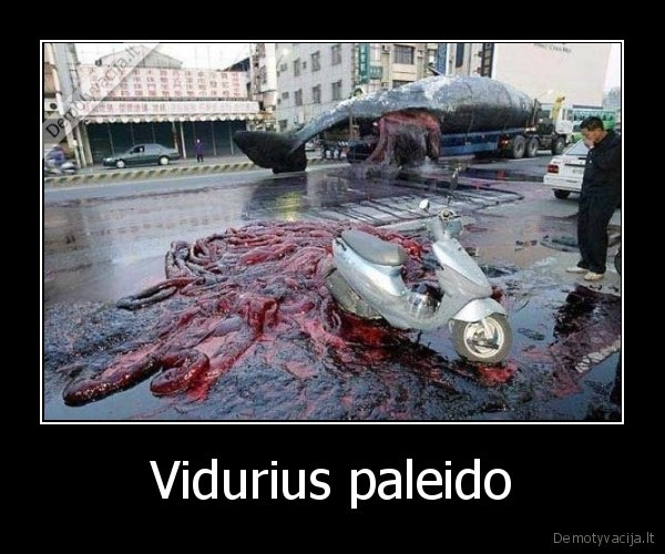 Vidurius paleido