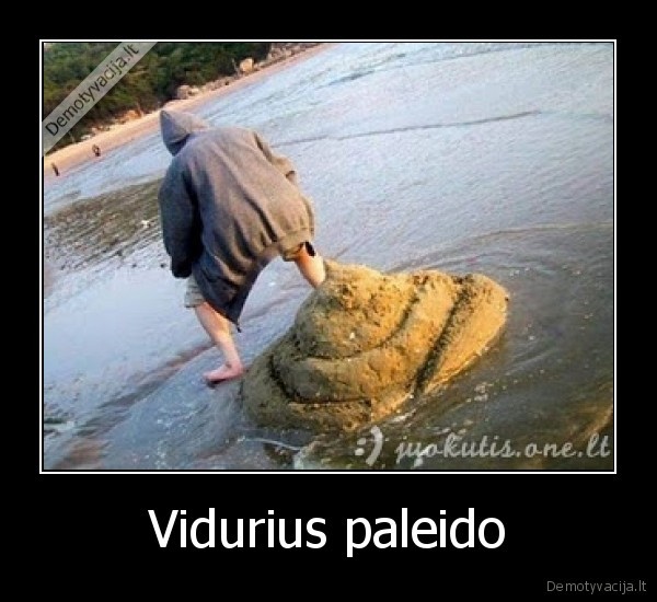 Vidurius paleido