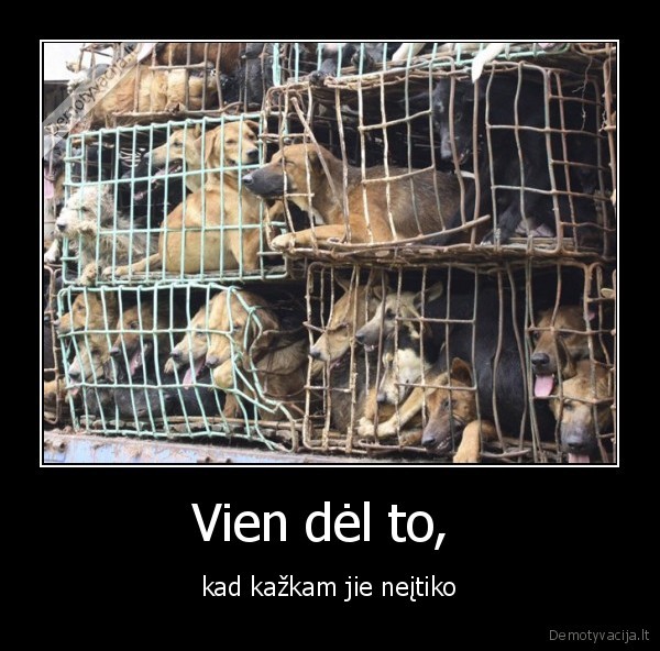Vien dėl to, 