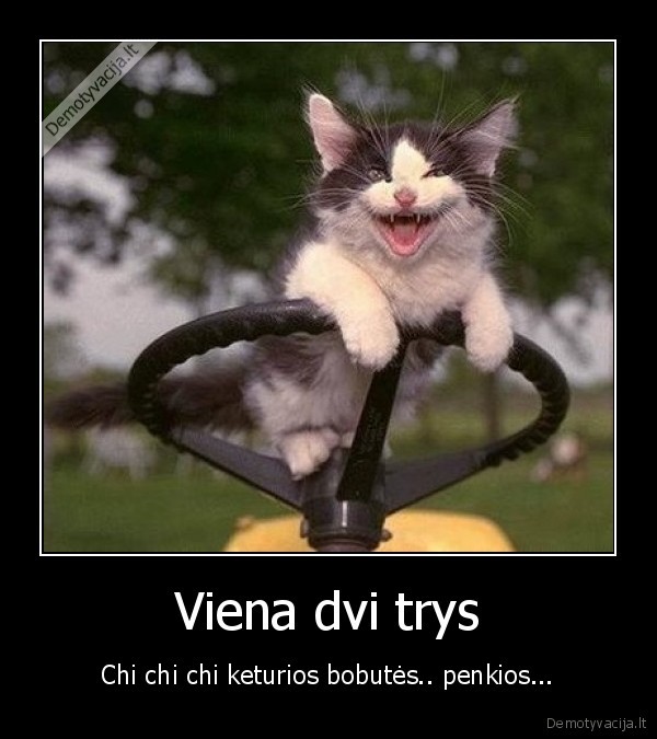 Viena dvi trys