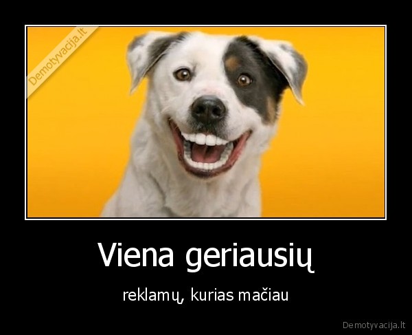 reklama