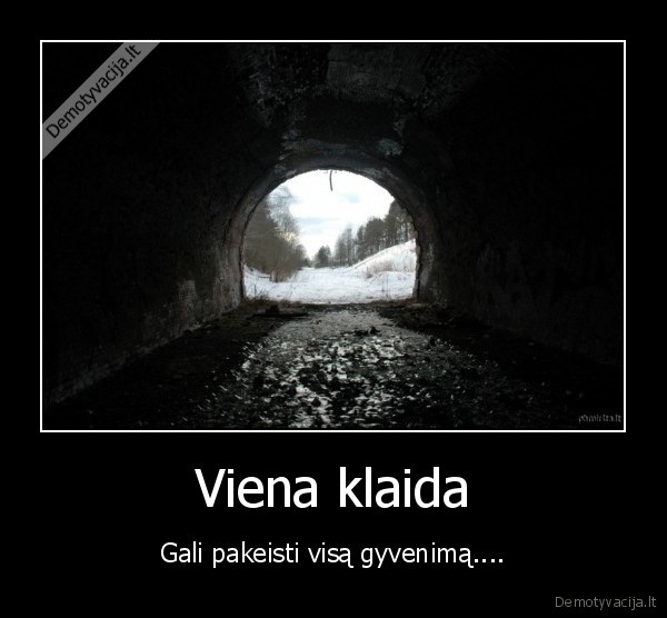 Viena klaida