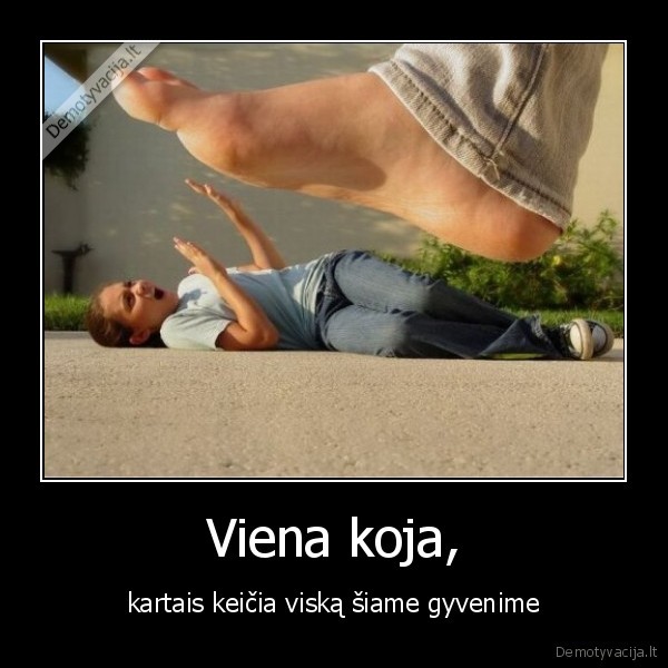 Viena koja,