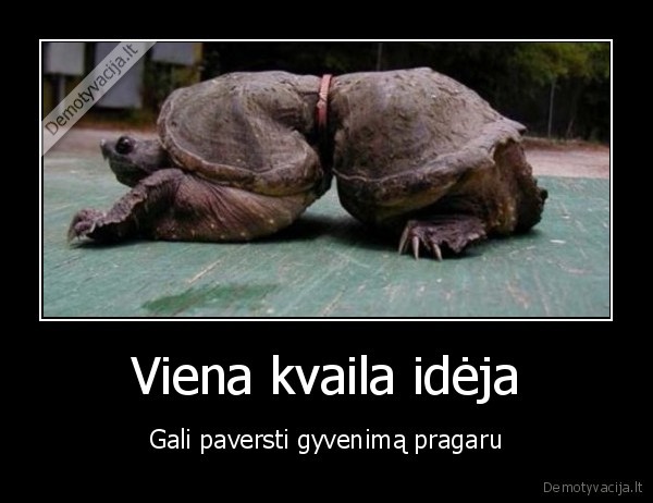 vezlys,dietos