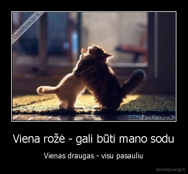 draugai, 