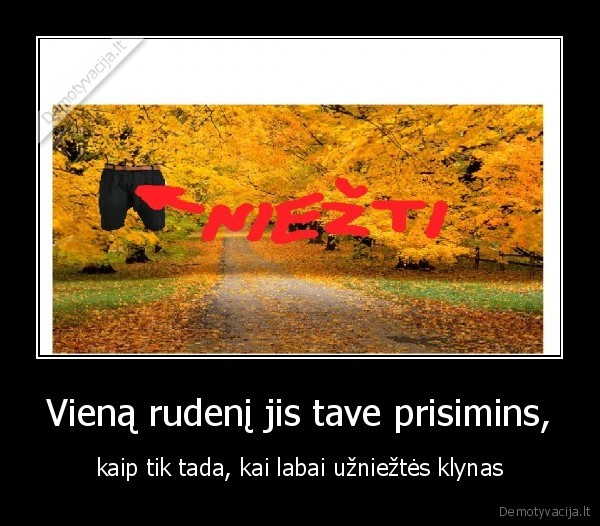 nesamone,lietuviska, demo,apgailetina,meile,skyrybos
