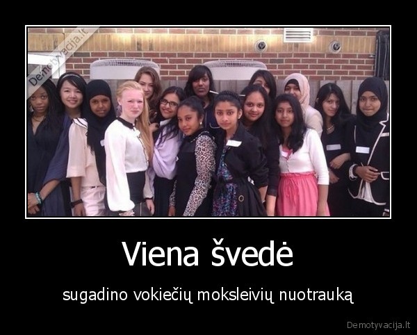 Viena švedė
