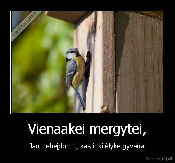 Vienaakei mergytei,
