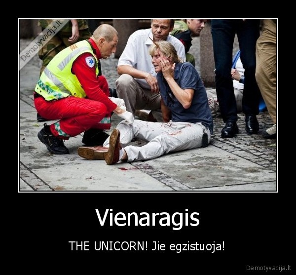 Vienaragis