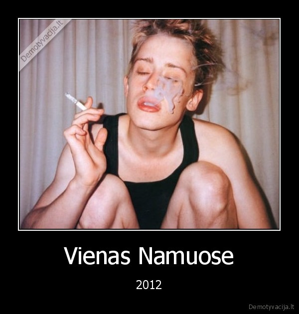 Vienas Namuose