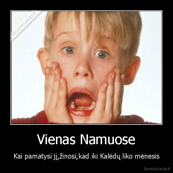 vienas, namuose