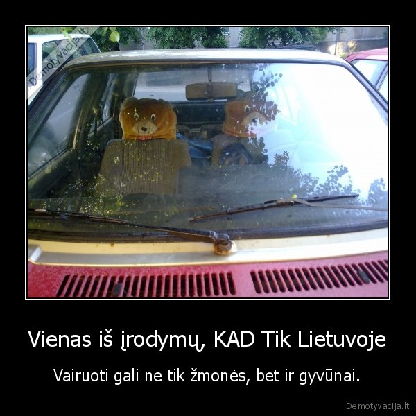 meskinai,lietuviai, masina,sedynes,lietuva,durnumas