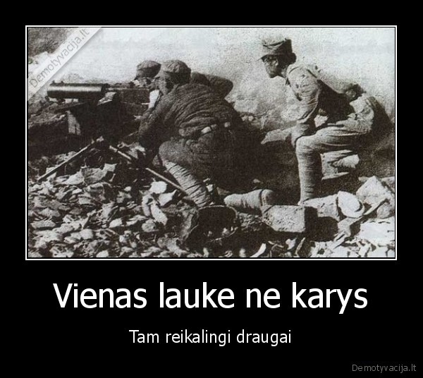 Vienas lauke ne karys