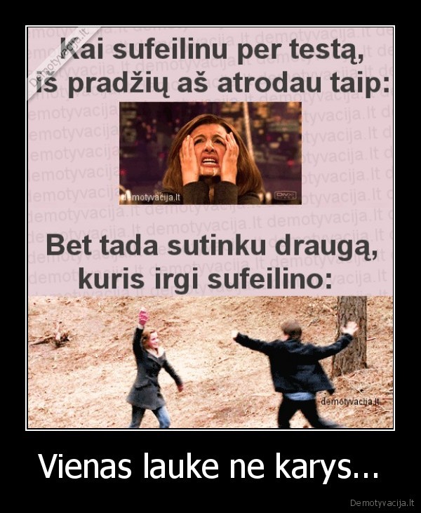 Vienas lauke ne karys...