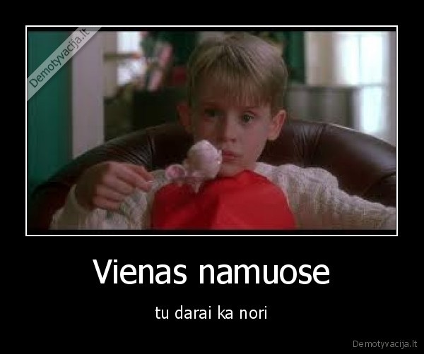 Vienas namuose