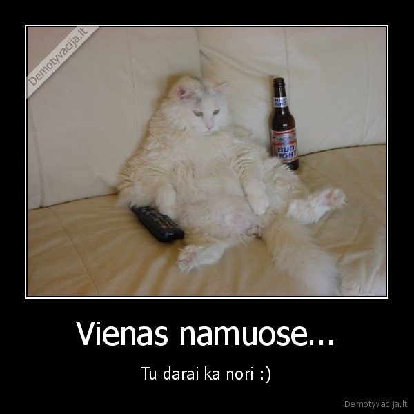 vienas,namas