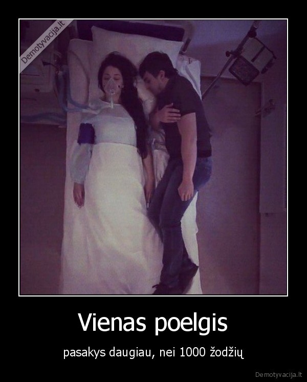 poelgis,zodziai