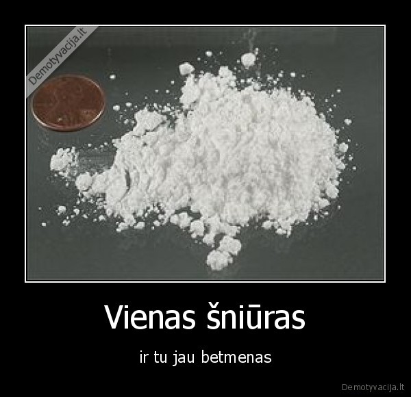 Vienas šniūras