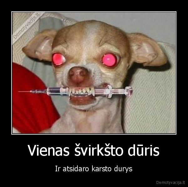 Vienas švirkšto dūris