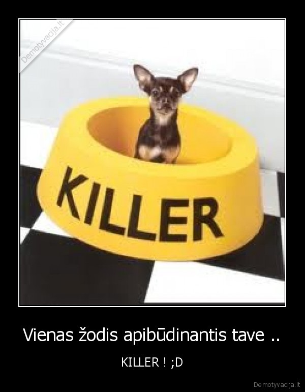 Vienas žodis apibūdinantis tave ..