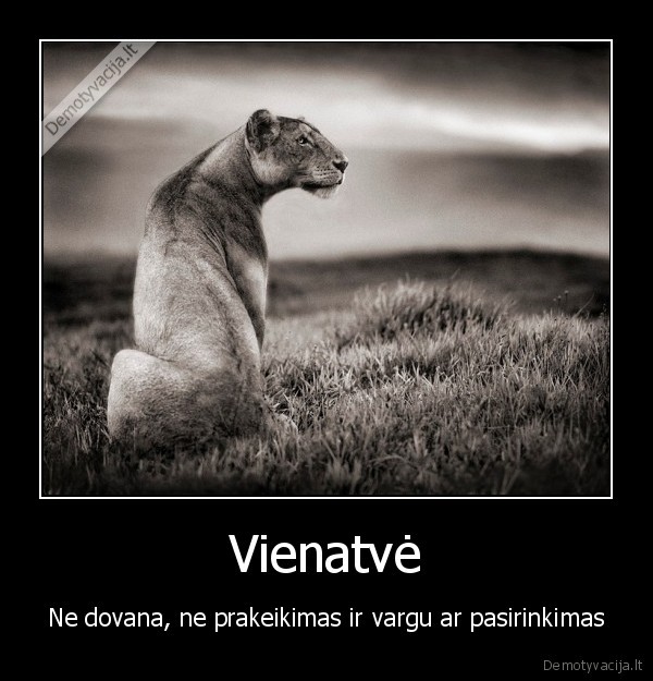 Vienatvė