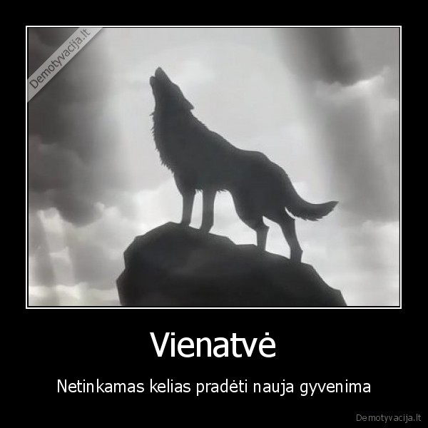 Vienatvė