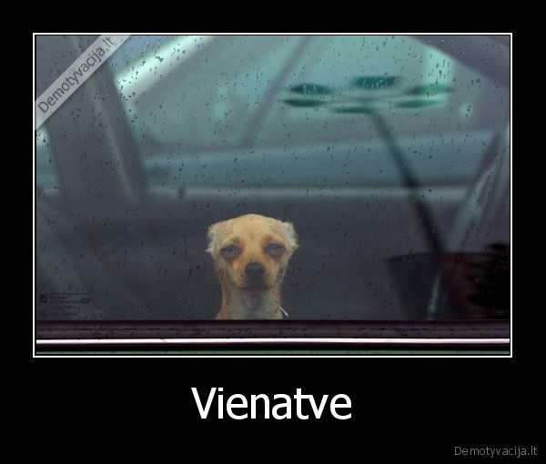 suniukas,vienas,vienisas