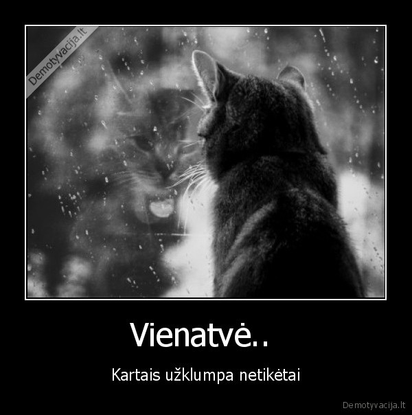 nors, ir, turi, draugu, bet, pasitaiko, ir, taip