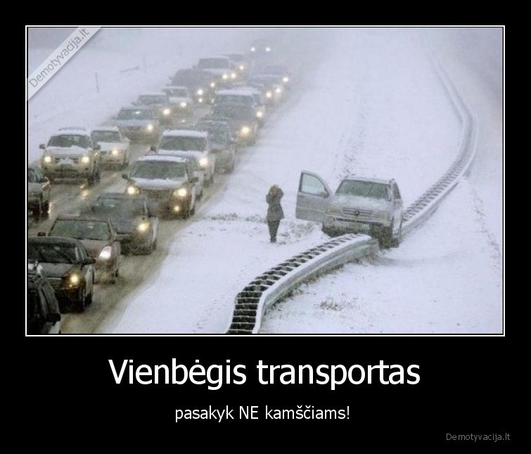 transportas,ne,kamsciams