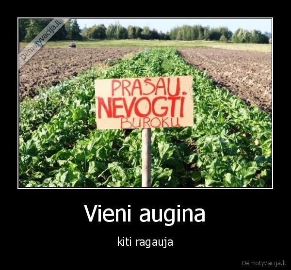 Vieni augina
