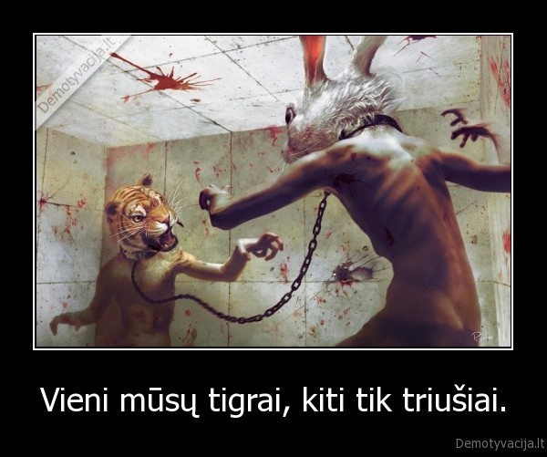 Vieni mūsų tigrai, kiti tik triušiai.