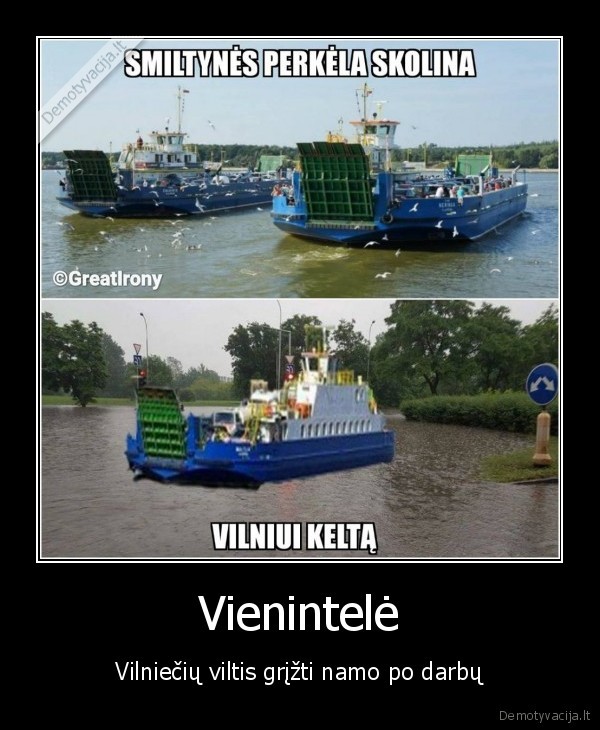 potvyniai,perkela,liutis