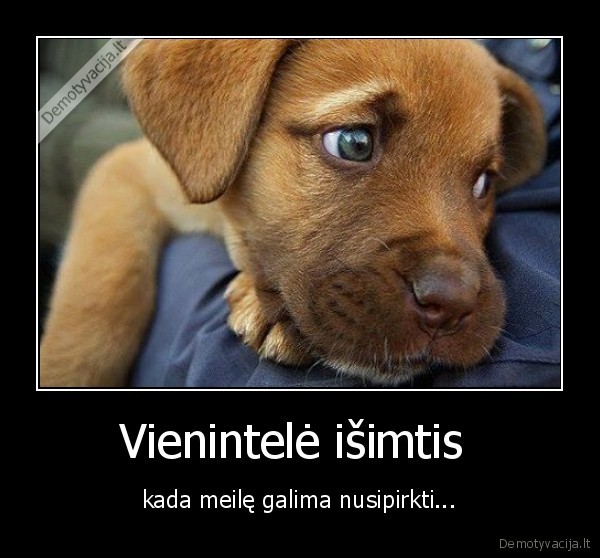 meile