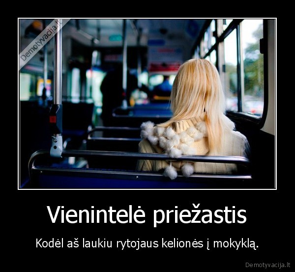 del,panos,kuri,vaziuoja,kartu,autobusu